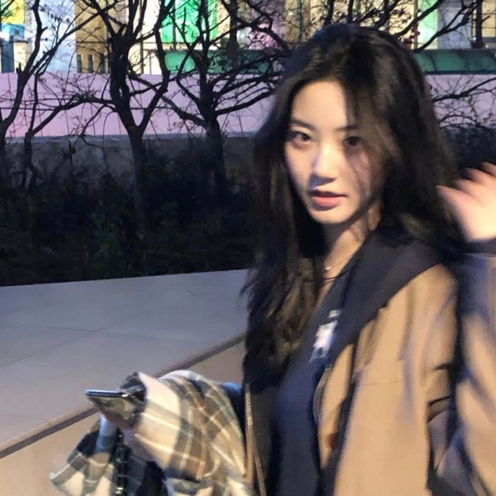被狮子吃掉了